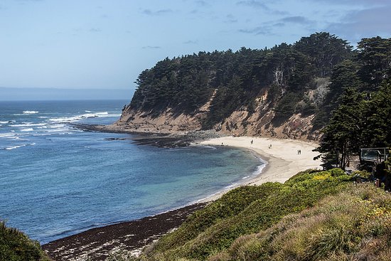 Read more about the article Moss Beach